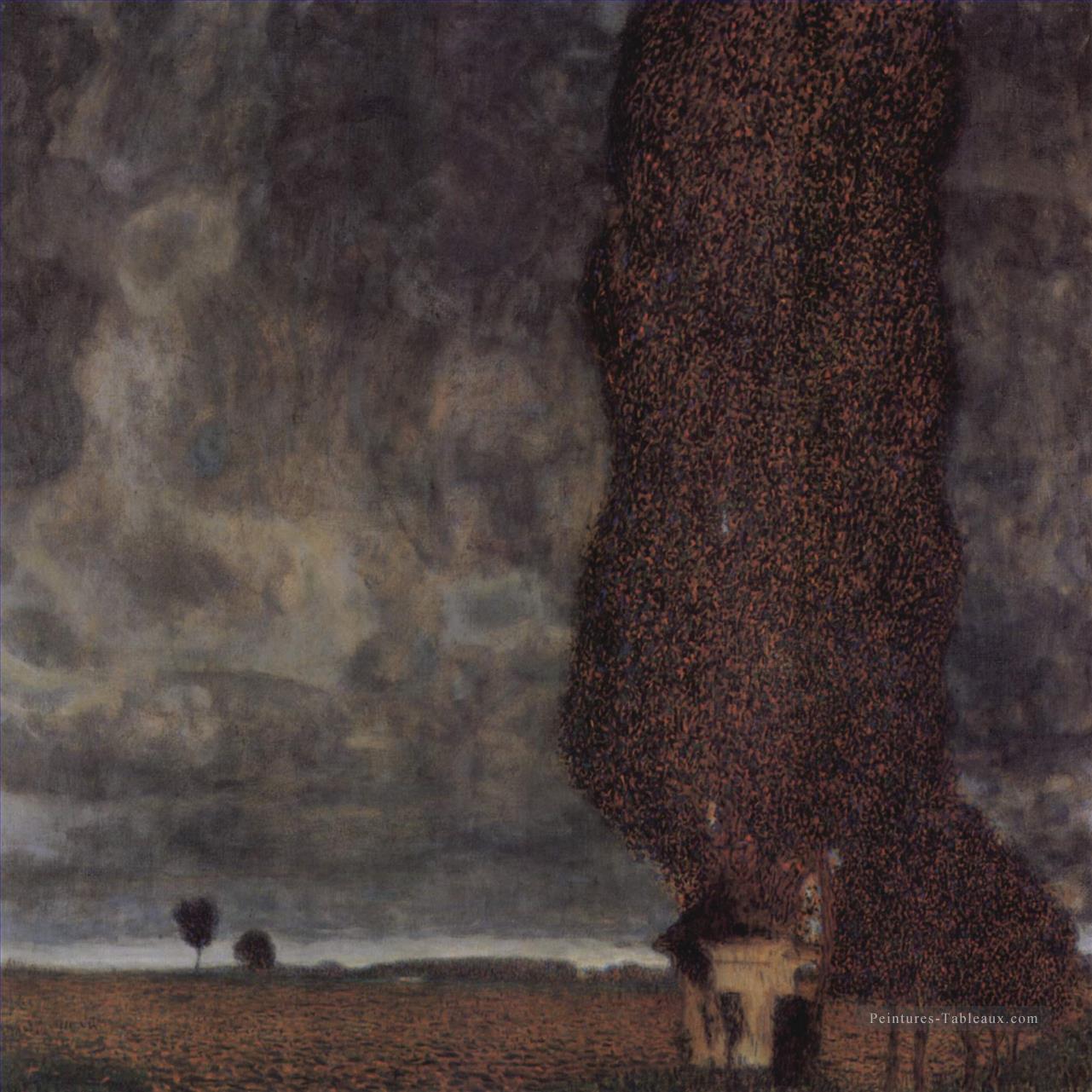 Die Grobe Pappeloder Aufziehendes Gewitter symbolisme Gustav Klimt Peintures à l'huile